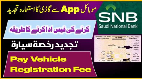 snb registration renewal.